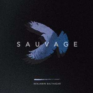 Benjamin Balthazar: Une brise