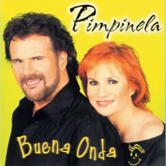 Pimpinela: Ojos Que No Ven (Album Version) (Ojos Que No Ven)