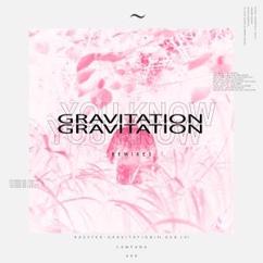 Rasster feat. GVO LV: Gravitation (Harddope Remix)