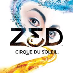 Cirque du Soleil: Vaneyou Mi Le