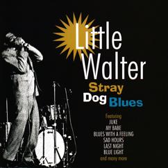 Little Walter: I Hate To See You Go