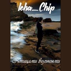 Leha Chip: Птицами вольными (Original Mix)