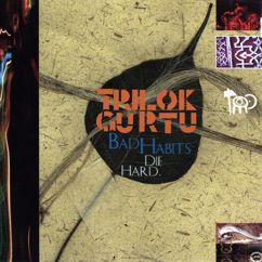 Trilok Gurtu: 21 Spices