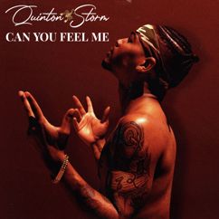 Quinton Storm: Can You Feel Me