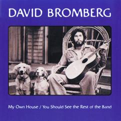 David Bromberg: Spanish Johnny (Album Version)