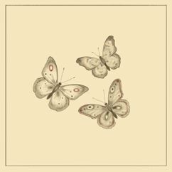 Enzo Corne: butterfly waltz