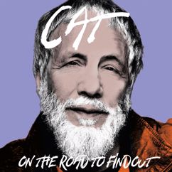 Cat Stevens: Can't Keep It In