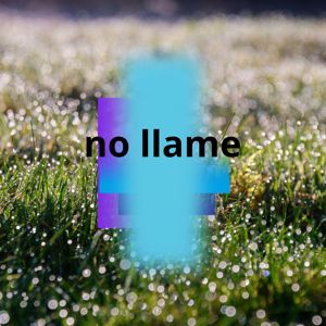 manuel fucil: no llames