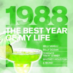 Various Artists: The Best Year Of My Life: 1988