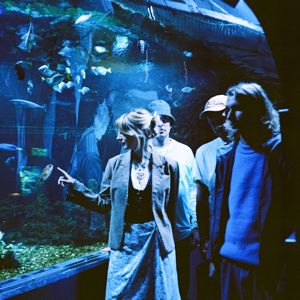 Les Poissons: Nature Boy