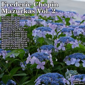 Shisei Hanai: Frederic Chopin 3 Mazurkas in B Major, Op. 63 No. 1