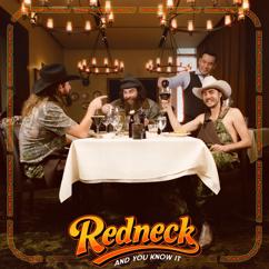 Dalton Davis: Redneck And You Know It