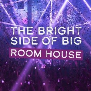 Various Artists: The Bright Side of Big Room House