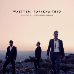 Waltteri Torikka Trio: Merenkyntäjä Mikko Andersson
