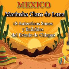 Marimba Claro de Luna: Soy buen tuxtleco