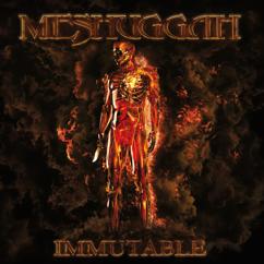 Meshuggah: Armies Of The Preposterous