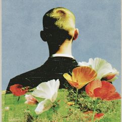 Toneflower: Falling Trumpet