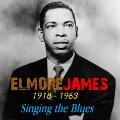 Elmore James: Standing in the Crossroads