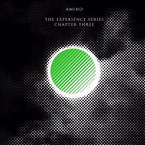 Amino: The Experience Series Chapter Three