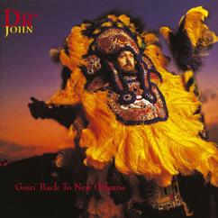 Dr. John: My Indian Red