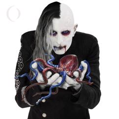 A Perfect Circle: Feathers