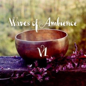 Various Artists: Waves of Ambience: V1