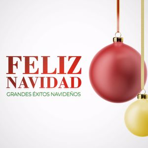 Various Artists: Feliz Navidad: Grandes Exitos Navideños