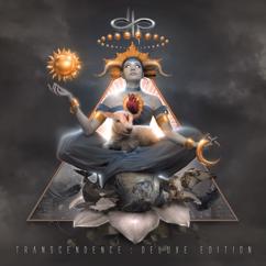 Devin Townsend Project: Transcendence