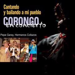 Hermanos Collazos: Triste Huerfano (Live)
