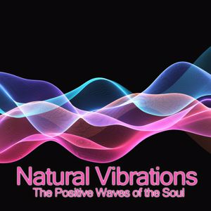 Various Artists: Natural Vibrations (The Positive Waves of the Soul)