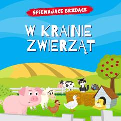 Śpiewające Brzdące: Wiewiórka
