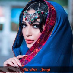 Ali Aziz: Jengi