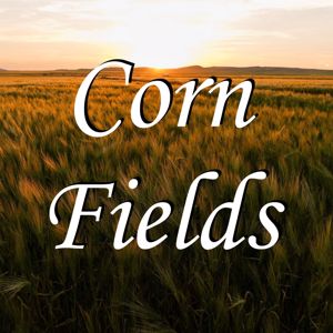 RodeoBoyz: Corn Fields