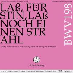 Chor & Orchester der J.S. Bach-Stiftung, Rudolf Lutz & Bernhard Berchtold: Trauerfestakt, BWV 198 "Laß, Fürstin, laß noch einen Strahl": VI. Rezitativ. "Ihr Leben ließ die Kunst zu sterben" (Tenor) [Live]