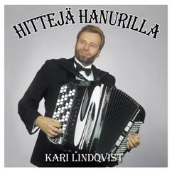 Kari Lindqvist: Katulyhdyt