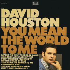 David Houston: Don't Mention Tomorrow