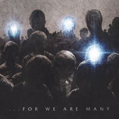 All That Remains: …For We Are Many