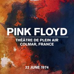 Pink Floyd: The Great Gig in the Sky