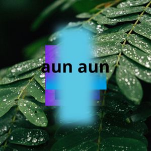 manuel fucil: aun aun