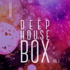 Various Artists: Deep-House Box, Vol. 2