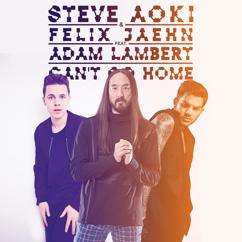 Steve Aoki & Felix Jaehn feat. Adam Lambert: Can't Go Home (Radio Edit)