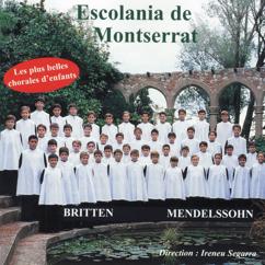 Escolania de Montserrat: Veni domine