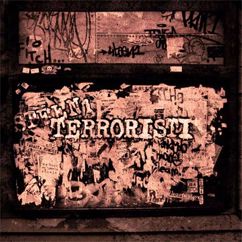 Steen1: Terroristi