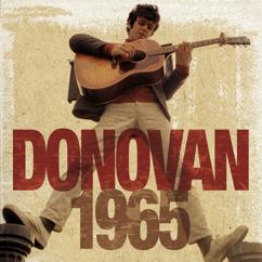 Donovan: The War Drags On