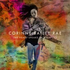 Corinne Bailey Rae: Horse Print Dress