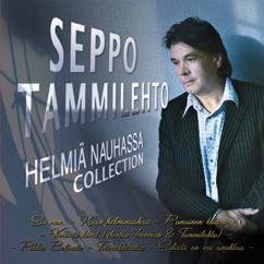 Seppo Tammilehto: Onnellisen oloinen mies