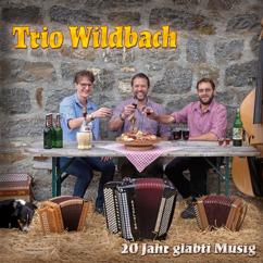 Trio Wildbach: Tiroler Buebe