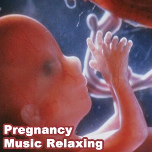 Pregnancy Wombsounds Music: Pregnancy Music Relaxing Wombsounds for Unborn Baby, Music for Babies Brain Development in Womb (For Labor & Music for Babies)