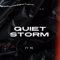 FY mi: Quiet Storm