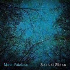 Martin Fabricius: Sound of Silence